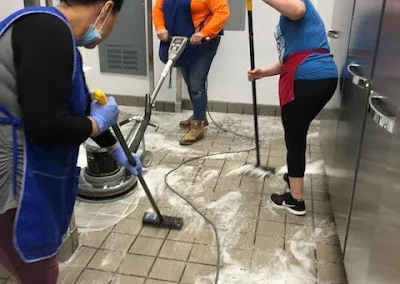Professional House Cleaning