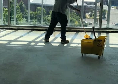 Professional House Cleaning