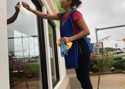 Professional House Cleaning